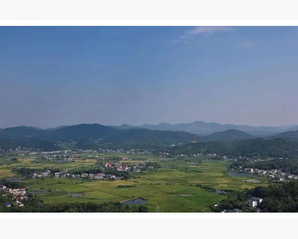 芝麻湿热性食物的饮食禁忌