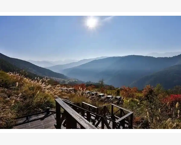 中成药在阳萎治疗中的应用与效果